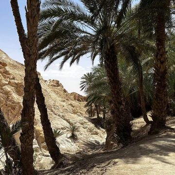 Tunisie | Inégalité territoriale face aux aléas climatiques