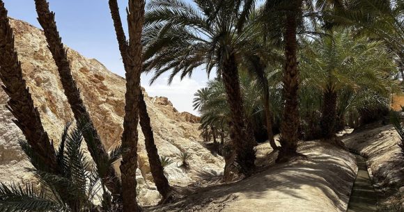 Tunisie | Inégalité territoriale face aux aléas climatiques
