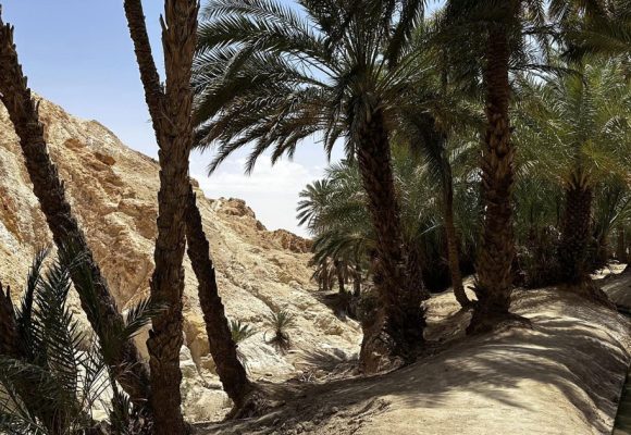 Tunisie | Inégalité territoriale face aux aléas climatiques
