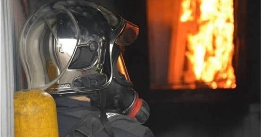 Incendie à Béja | 15 hectares de blé ravagés par les flammes