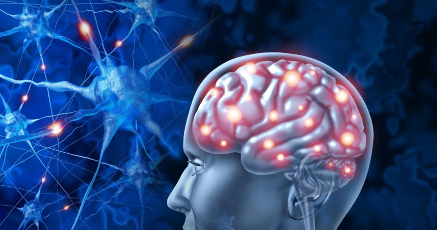 L’Alzheimer touche 12% des Tunisiens de plus de 65 ans
