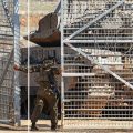 L’expansionnisme agressif, nouvelle stratégie militaire israélienne