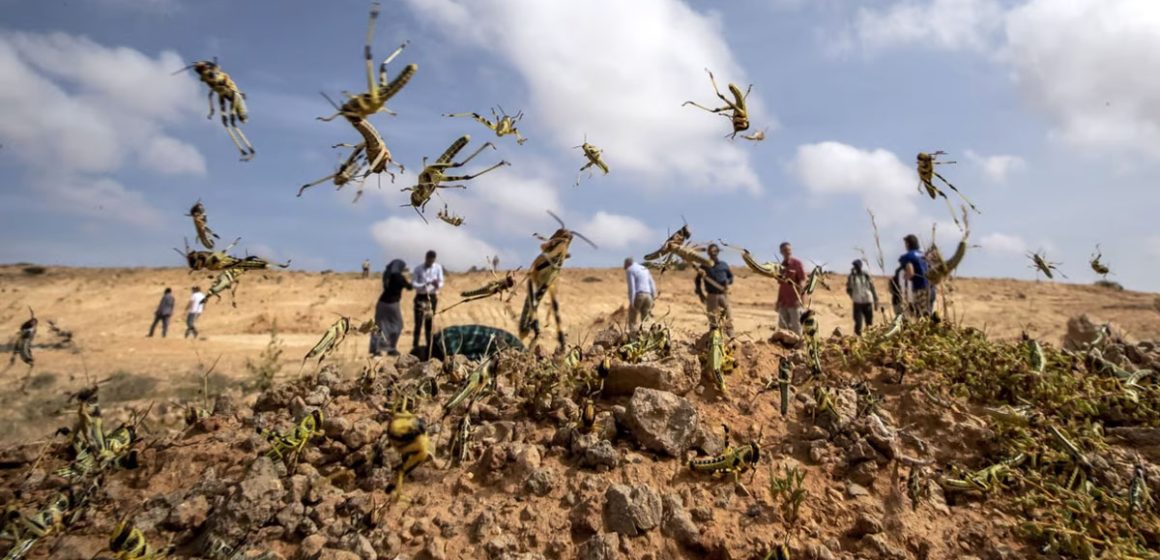 Invasion, exode et crise en Tunisie | La prophétie d’une Nouvelle Ere 