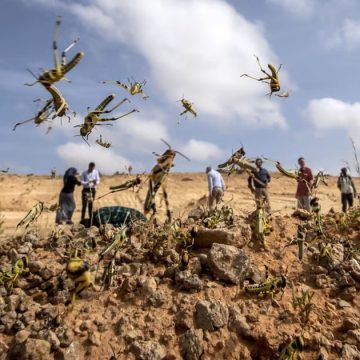 Invasion, exode et crise en Tunisie | La prophétie d’une Nouvelle Ere 