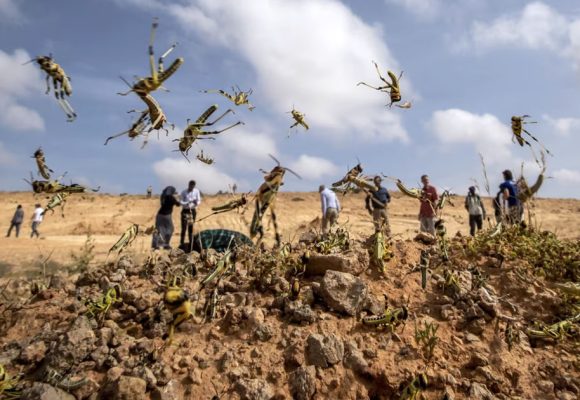 Invasion, exode et crise en Tunisie | La prophétie d’une Nouvelle Ere 