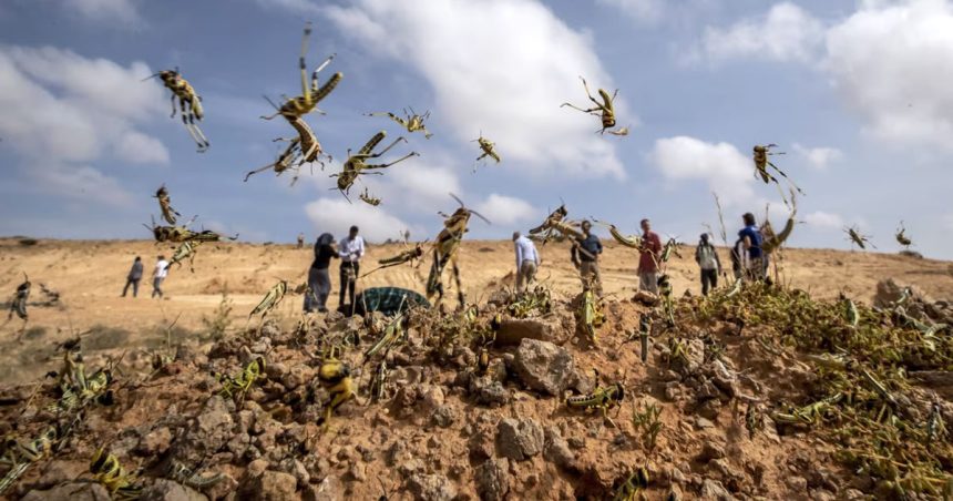 Invasion, exode et crise en Tunisie | La prophétie d’une Nouvelle Ere 