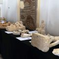 Archéologie | La vraie fausse affaire Zama