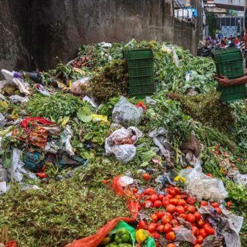 La Tunisie relance la guerre contre le gaspillage alimentaire