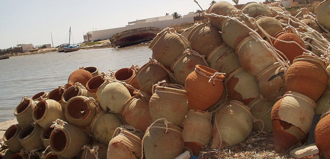 La Tunisie interdit la pêche au poulpe pour lutter contre la pénurie