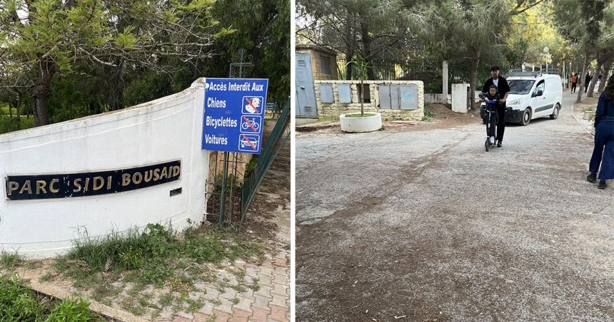 Infractions au parc de Sidi Bou Saïd | Le silence complice des autorités ?