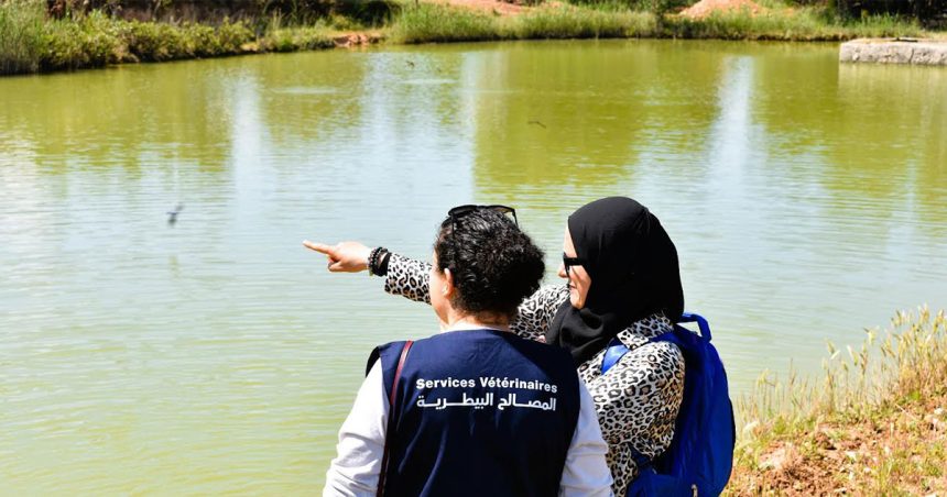 Tunisie | Formation sur la biosécurité dans les exploitations piscicoles eau douce