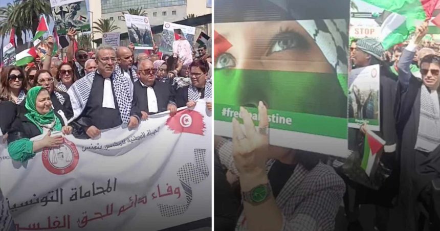 Tunis | Les Avocats manifestent leur solidarité avec la Palestine