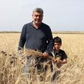 Appui à la l’agriculture biologique en Tunisie