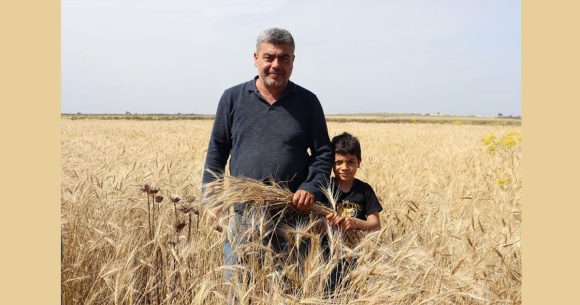 Appui à la l’agriculture biologique en Tunisie
