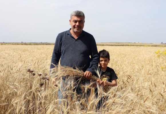 Appui à la l’agriculture biologique en Tunisie