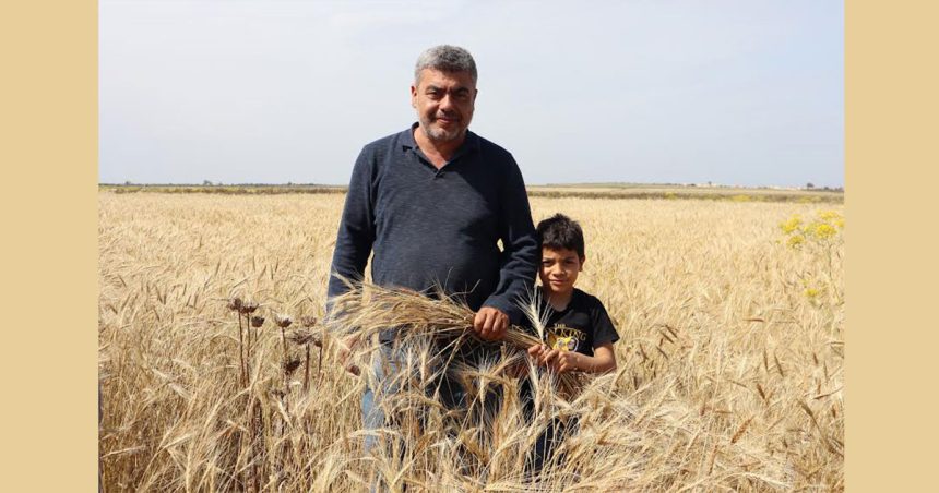 Appui à la l’agriculture biologique en Tunisie