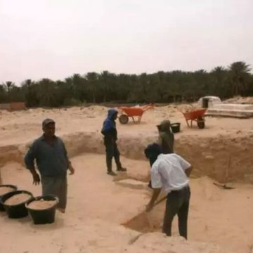 Tunisie │ Découverte d’une huilerie de la fin de l’Empire romain
