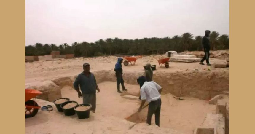 Tunisie │ Découverte d’une huilerie de la fin de l’Empire romain