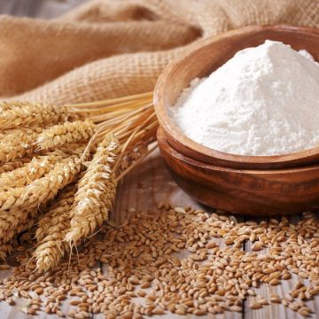 Don de 50 000 tonnes de farine irakienne à la Tunisie  