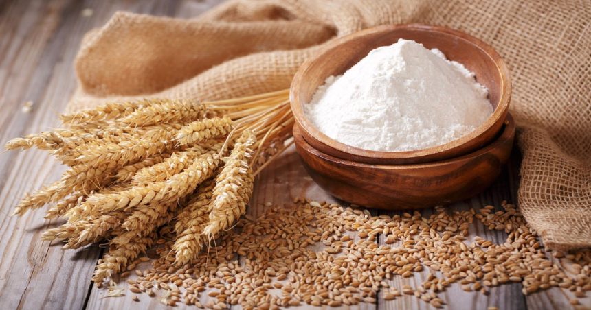 Don de 50 000 tonnes de farine irakienne à la Tunisie  