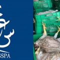 Sousse | Saisie de plus de 915 kg de poulet impropre à la consommation (INSSPA)