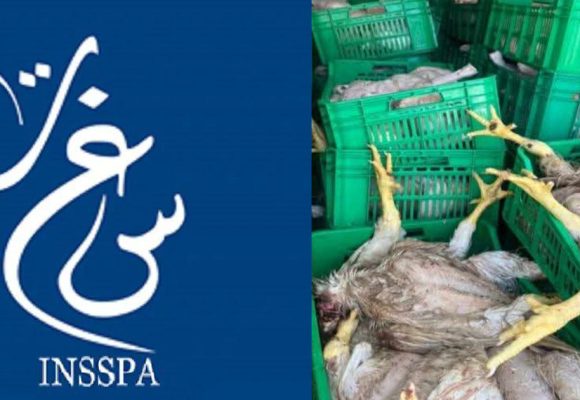 Sousse | Saisie de plus de 915 kg de poulet impropre à la consommation (INSSPA)