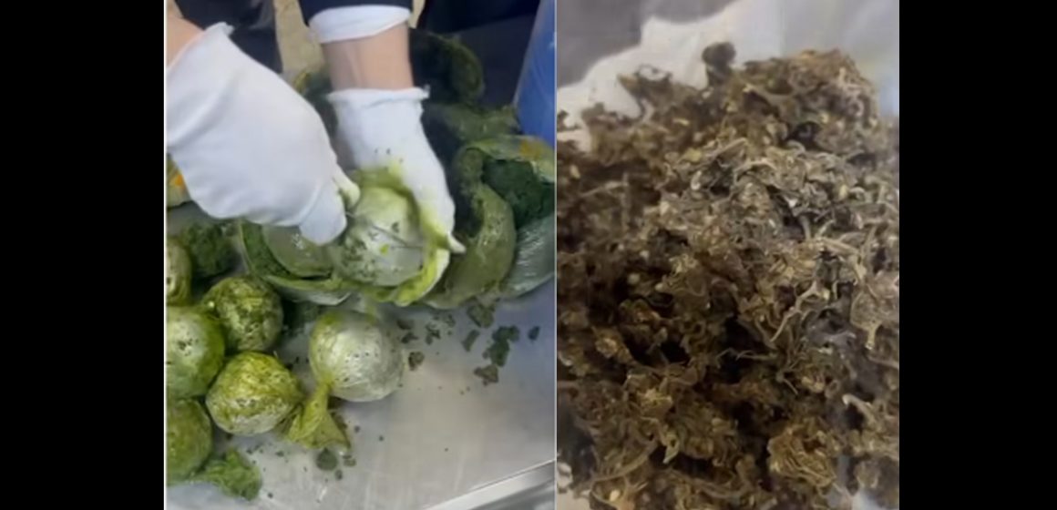 Douane | Saisie de 2.5 kg de marijuana à l’aéroport de Tunis-Carthage