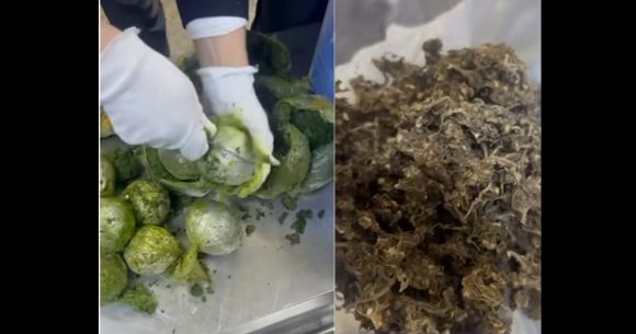 Douane | Saisie de 2.5 kg de marijuana à l’aéroport de Tunis-Carthage