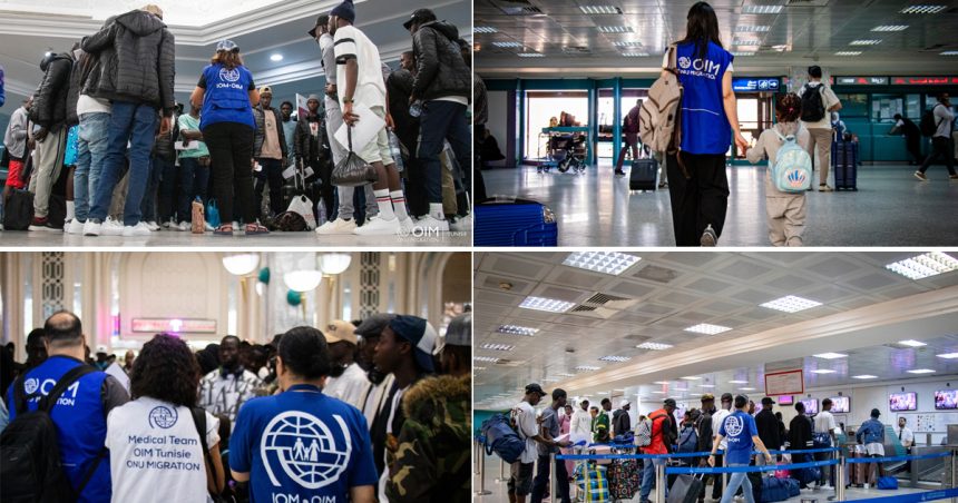 AVRR | Retours sûrs et dignes : L’OIM Tunisie accompagne les migrants vers un nouveau départ