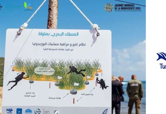 À Tabarka, le premier sentier protégé pour les plongeurs