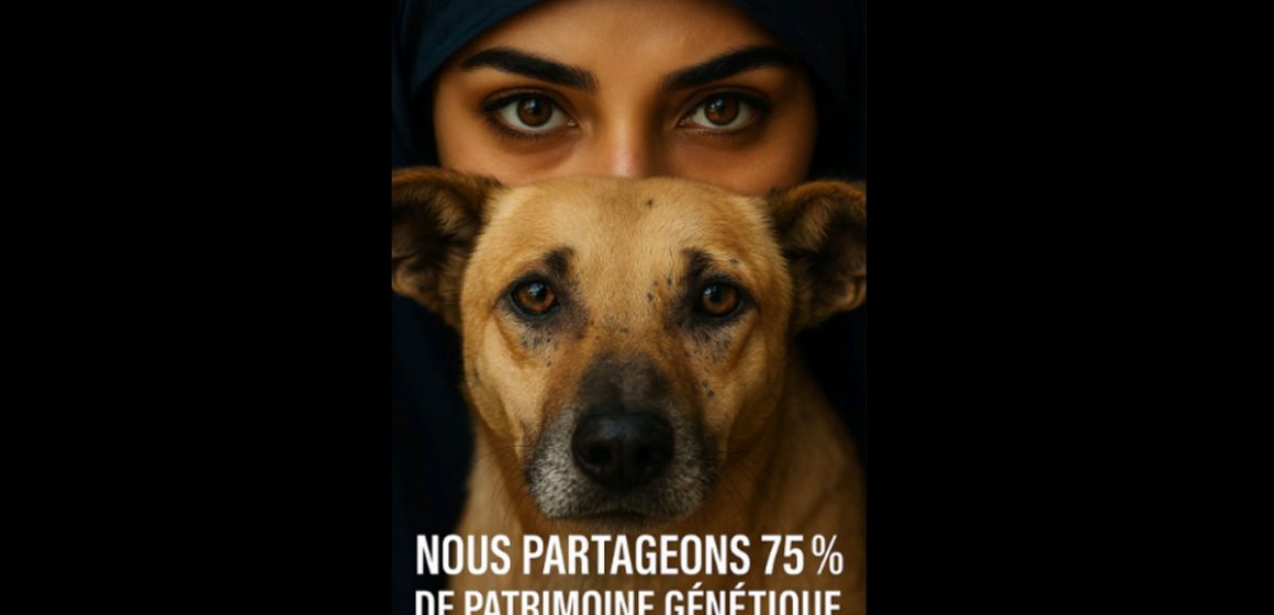 Pour une politique éthique, responsable et efficace de gestion des animaux errants en Tunisie