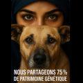 Pour une politique éthique, responsable et efficace de gestion des animaux errants en Tunisie