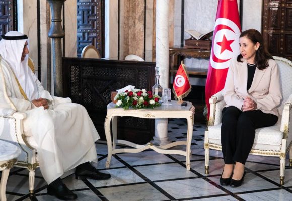 Le Fades contribue à 17 projets dans divers secteurs en Tunisie