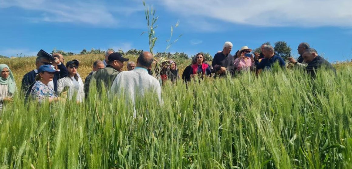 FAO | Formation à Tunis sur la multiplication des semences bio