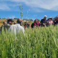 FAO | Formation à Tunis sur la multiplication des semences bio