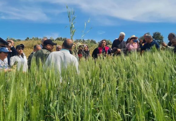 FAO | Formation à Tunis sur la multiplication des semences bio
