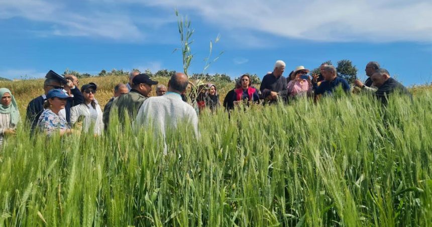 FAO | Formation à Tunis sur la multiplication des semences bio