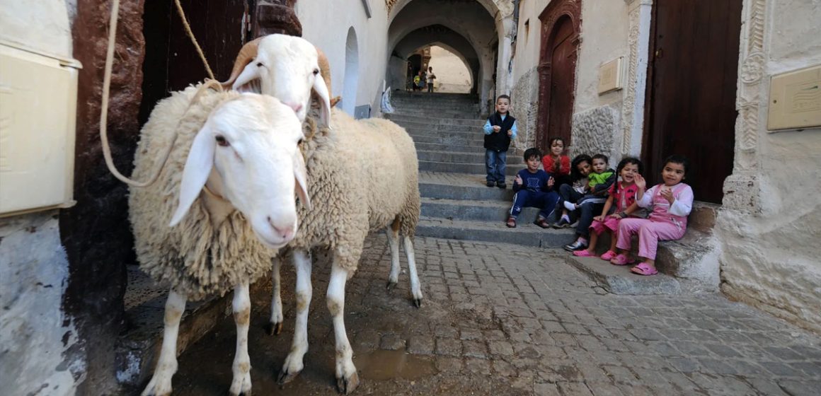 Les marchands du temple et les moutons de Panurge │ Vers une nouvelle éthique sociale