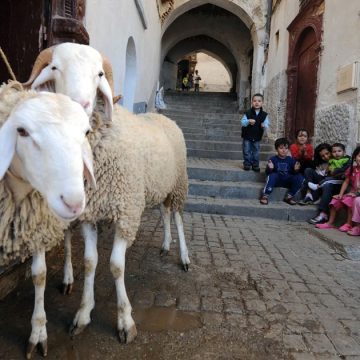 Les marchands du temple et les moutons de Panurge │ Vers une nouvelle éthique sociale