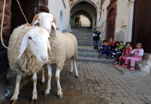Les marchands du temple et les moutons de Panurge │ Vers une nouvelle éthique sociale