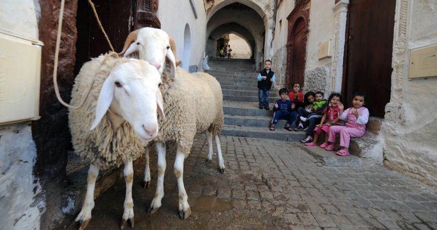 Les marchands du temple et les moutons de Panurge │ Vers une nouvelle éthique sociale