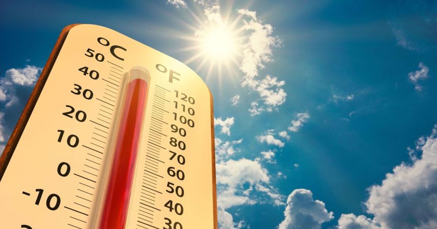 Tunisie │ L’été 2025 plus chaud que la normale