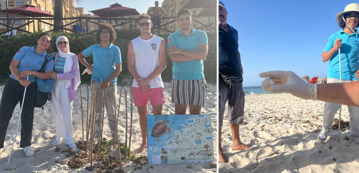 Sousse | Premier nid de tortues caouannes enregistré à Chott Meriem
