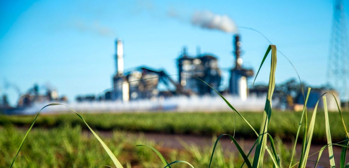 Tunis │ Débat à l’Utica sur les stratégies de décarbonation
