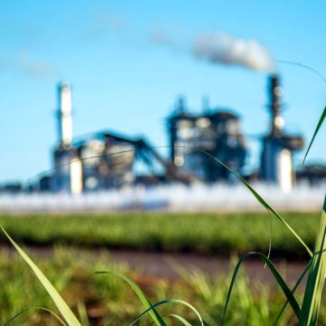 Tunis │ Débat à l’Utica sur les stratégies de décarbonation