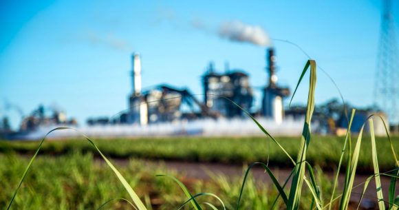 Tunis │ Débat à l’Utica sur les stratégies de décarbonation
