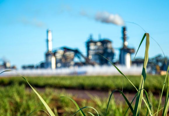 Tunis │ Débat à l’Utica sur les stratégies de décarbonation