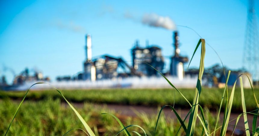Tunis │ Débat à l’Utica sur les stratégies de décarbonation