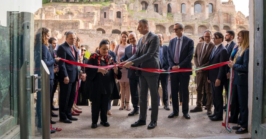 Exposition archéologique │ De Zama à Rome