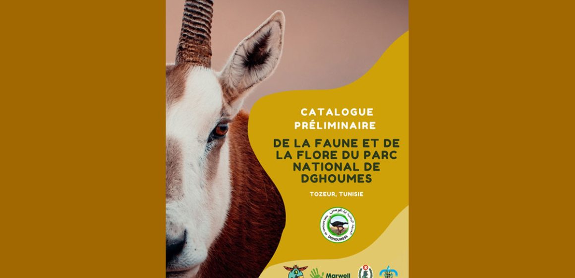 Tunisie │ Catalogue de la faune et de la flore du parc des Dghoumes
